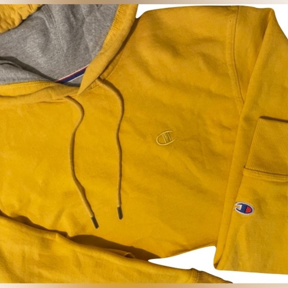 Champion cropped hoodie